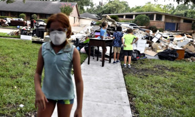 Tropical Storm Imelda Mold: Houston Dwellers Risk Catching Deadly Infection