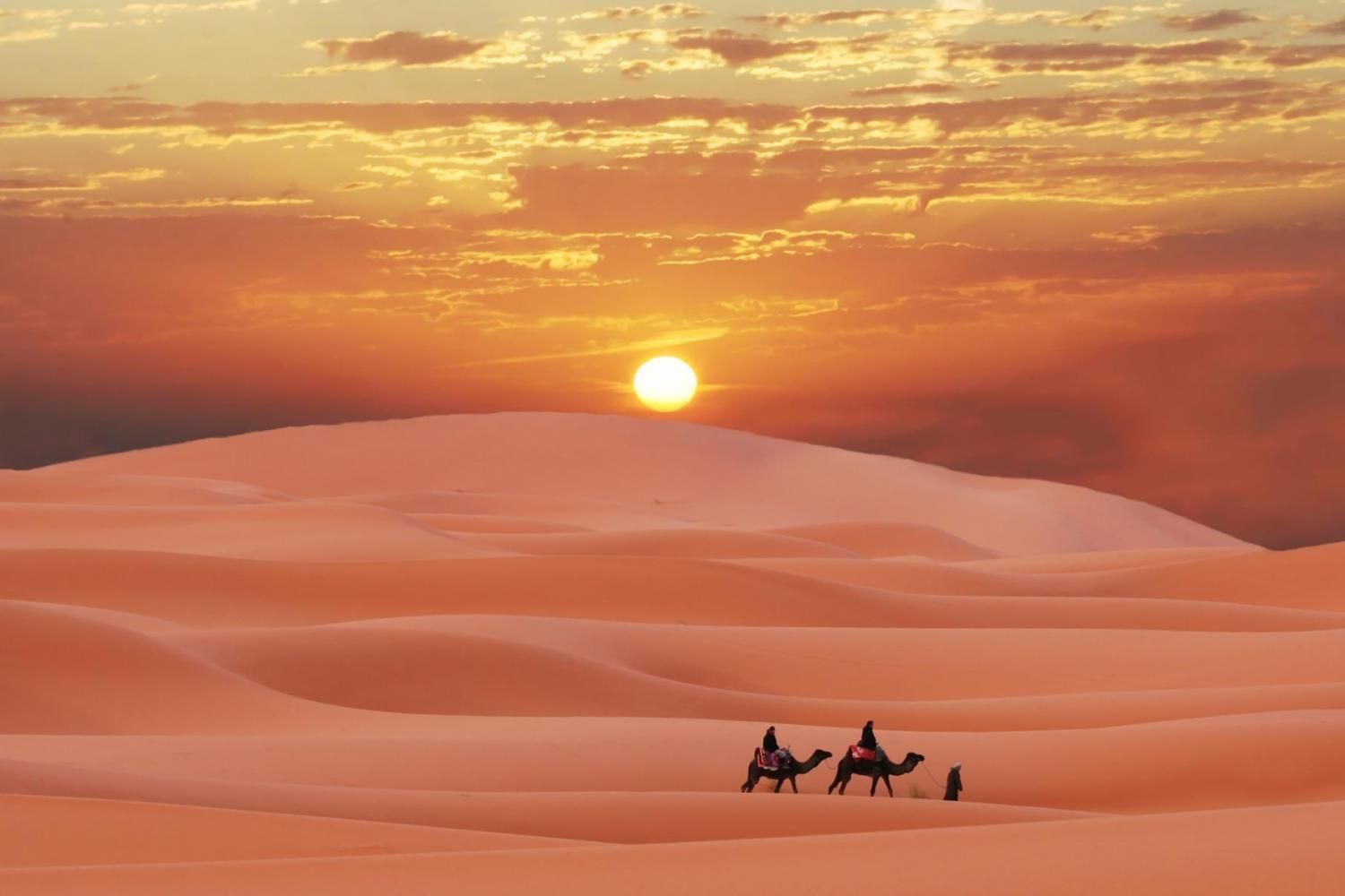 Experience The Beauty Of Desert Through Morning Desert Safari
