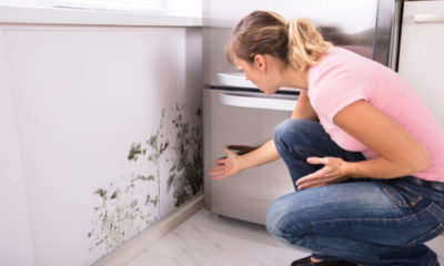 Traits in The Bathroom That May Cause Mold Growth