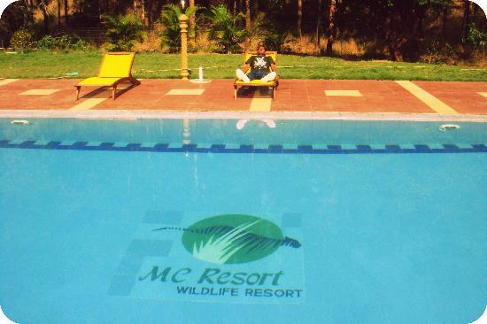 Make Your Bandipur Resorts Reservation Easy with Best Wildlife Resorts in India