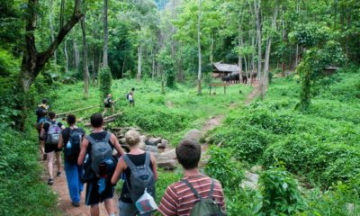 Thailand Travel – Top Tips for Trekking