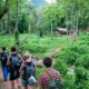 Thailand Travel – Top Tips for Trekking
