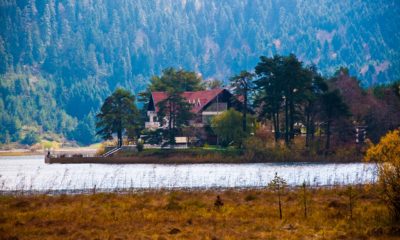 10 Best Homestays in Himachal Pradesh