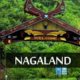 Top 7 Fantastic Things to do in Nagaland You Simply Cannot Miss!
