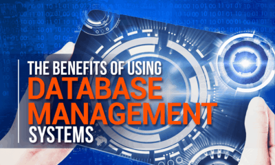 Why Is It Advantageous To Have A US Business Database?