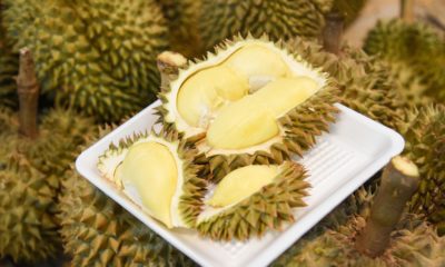 Most Famous Durian