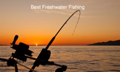 Best Freshwater Fishing