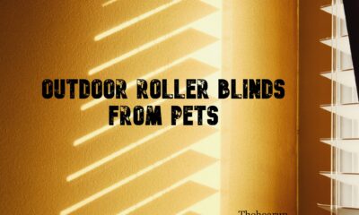 Outdoor Roller Blinds From Pets