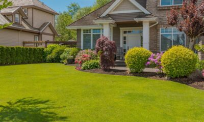 Top Signs You Need Lawn Care Services in the Villages FL