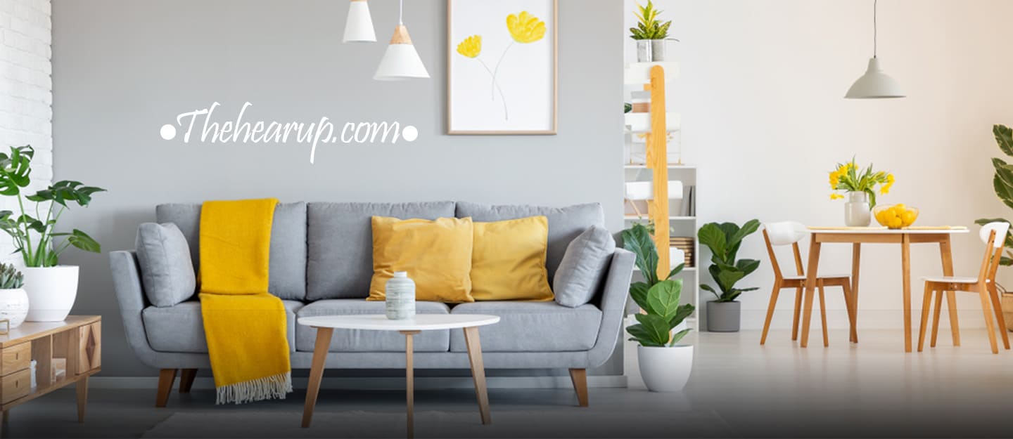 8 Tips to keep in mind before buying a sofa for your home
