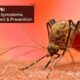 Dengue: Causes, Symptoms, Prevention