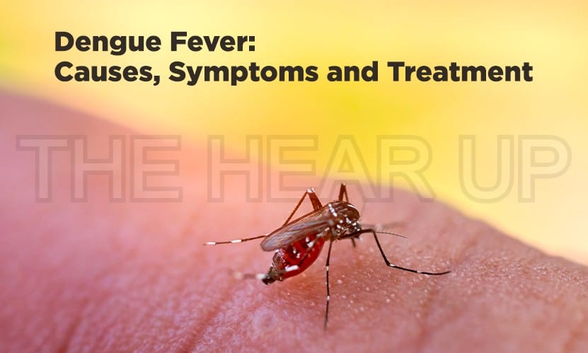 Dengue: Causes, Symptoms, Prevention 1