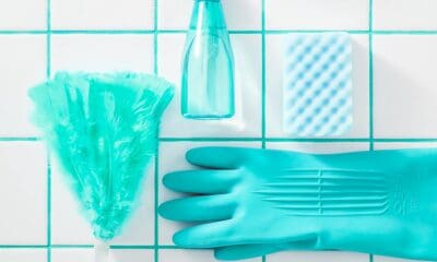 How to Disinfect Your House and Houseware