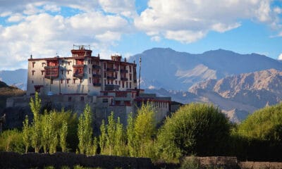 Shey and Stok palace in Ladakh