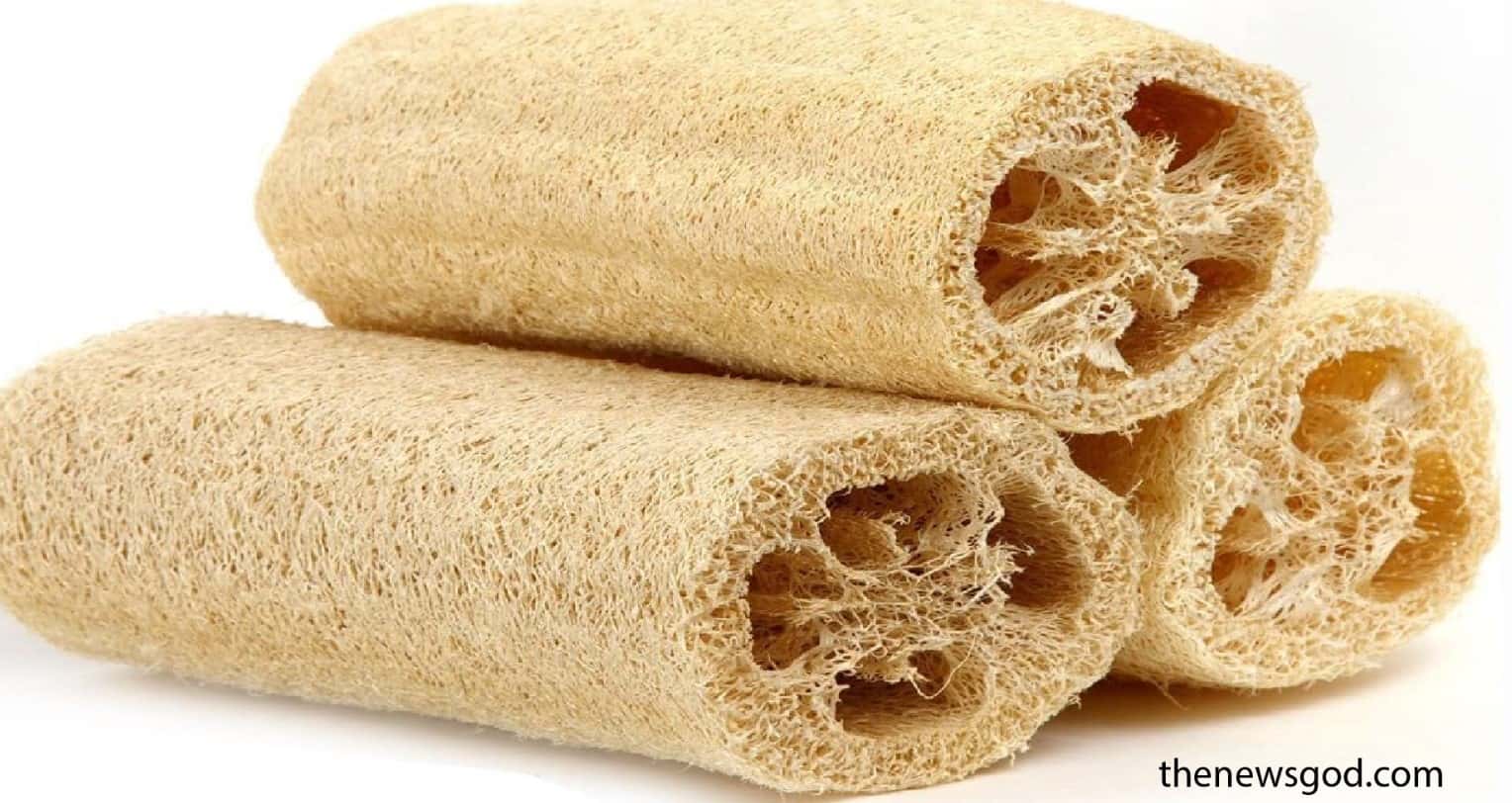 Seven Reason Why You Should Use Loofah
