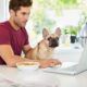 How to Get Accurate Information About Vets Online