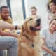 Benefits Of Pet Therapy