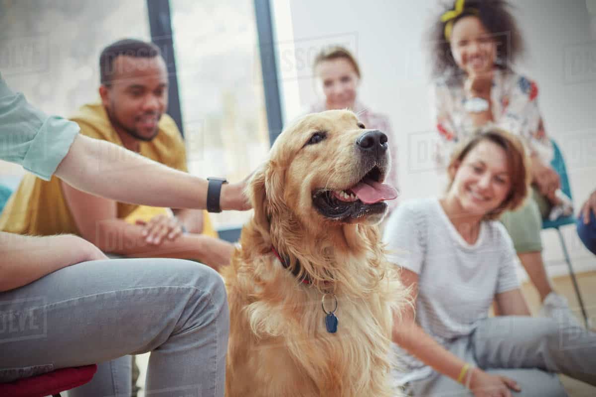 Benefits Of Pet Therapy