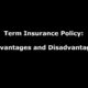 Term Insurance Policy: Advantages and Disadvantages