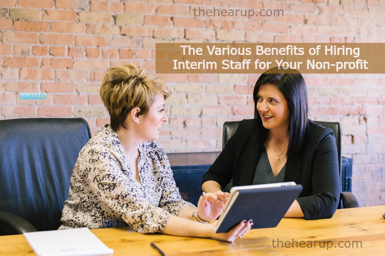 The Various Benefits of Hiring Interim Staff for Your Non-profit