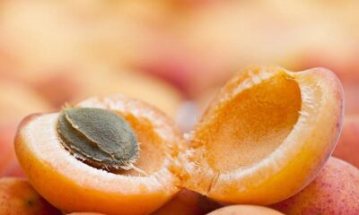 Apricot Kernels - Some Work, Some Don't
