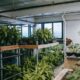 Benefits of Greenhouse?