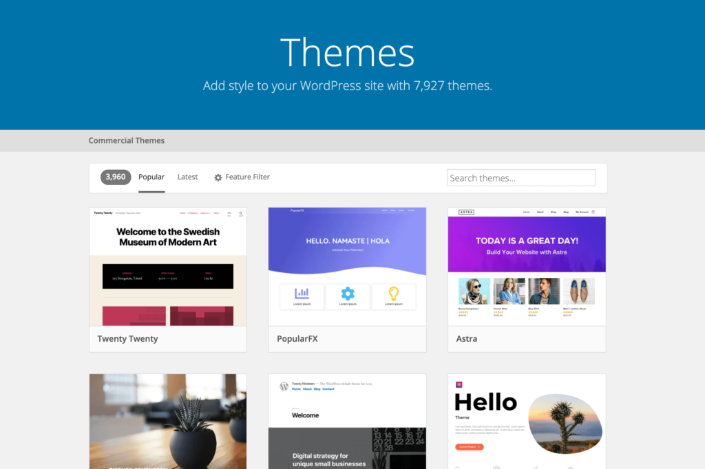 What Benefits are Offered by WordPress Theme