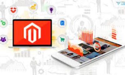 Magento Development - Best Way to Develop and Design Your Online Store