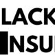 Black Insure a personal finance company founded by Michael Aremu & George Oni