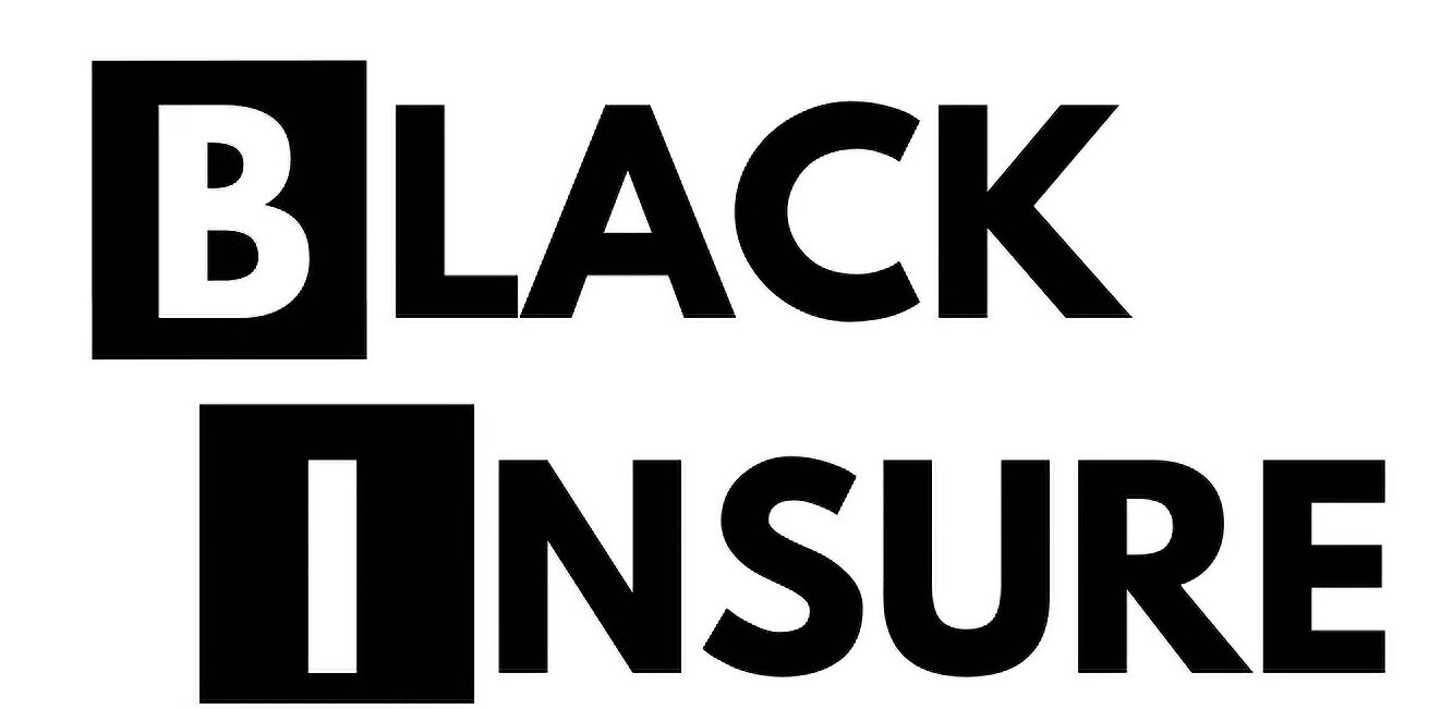 Black Insure a personal finance company founded by Michael Aremu & George Oni