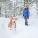 4 Helpful Safety Tips for Walking Your Dog in the Snow