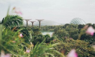 Things To Do at Gardens by the Bay Singapore