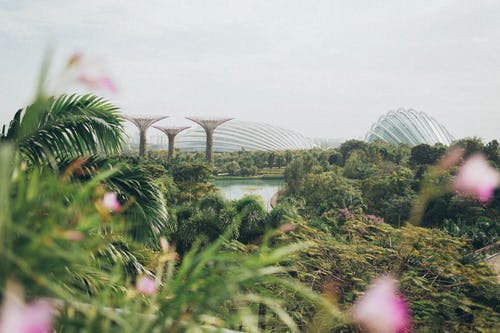 Things To Do at Gardens by the Bay Singapore