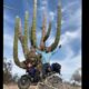 Jonathan Roberts with his loaded up Honda Ruckus in the desert of Baja California, Mexico 2