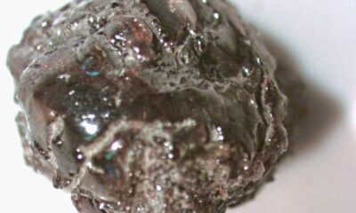 Arkansas Man Discovers Massive 2.38 Carat Diamond In Park
