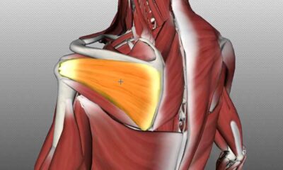 Myths and Misconceptions of Rotator Cuff Tear