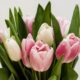 How To Find the Right Flower Delivery Service