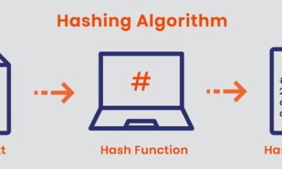 The reasons why hashing has to be the topmost priority for your business?