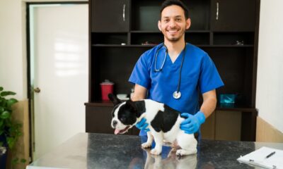 What Are the Best Jobs to Work With Animals?