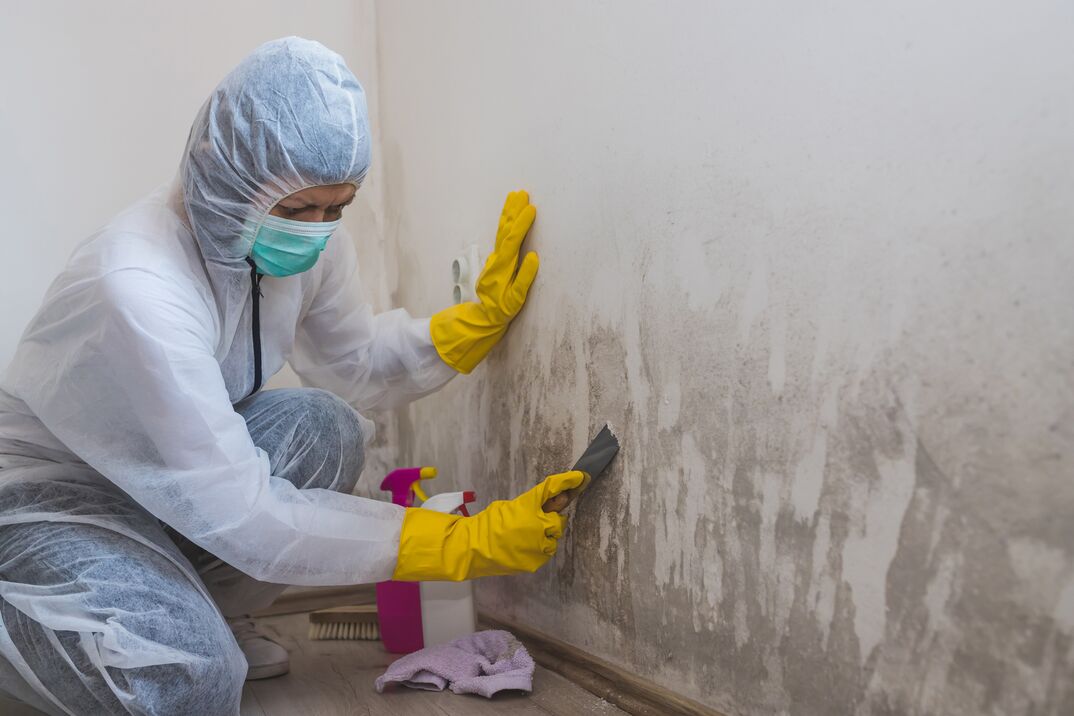 5 Things You Must Consider When Choosing The Right Mould Removal Service