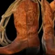 4 Reasons You Need Cowboy Boots in Your Wardrobe