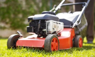 5 Commercial Lawn Maintenance Mistakes and How to Avoid Them