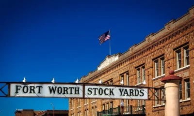 5 Fun Things to Do in Fort Worth, Texas