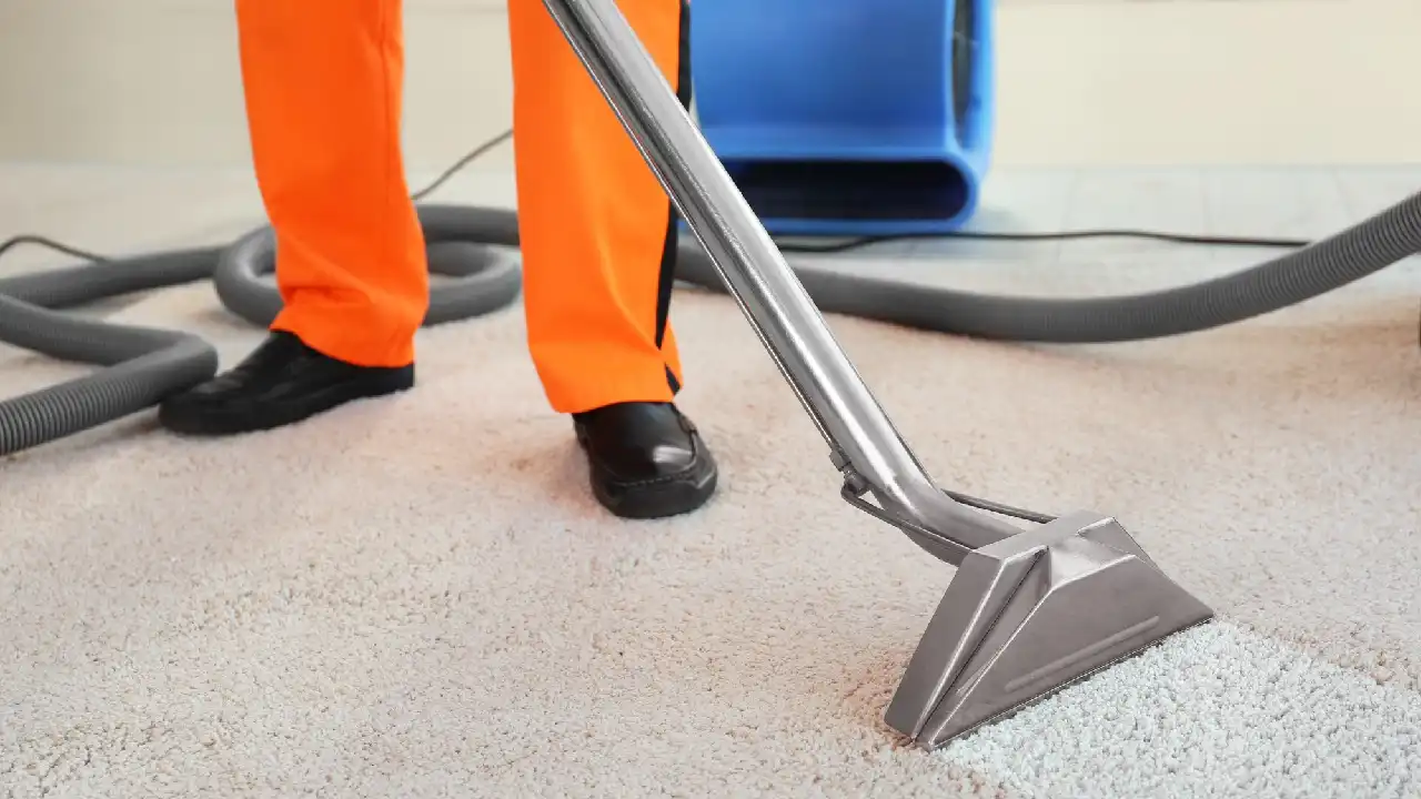 The Complete Guide to Choosing a Carpet Cleaner: Everything to Know