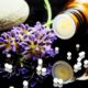 Common Herbal Medicines That Are Popularly Used
