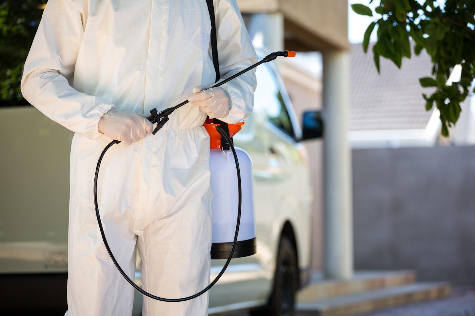 How Often Do You Need To Get Preventative Pest Control?
