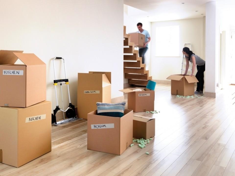 Background checks on the moving company