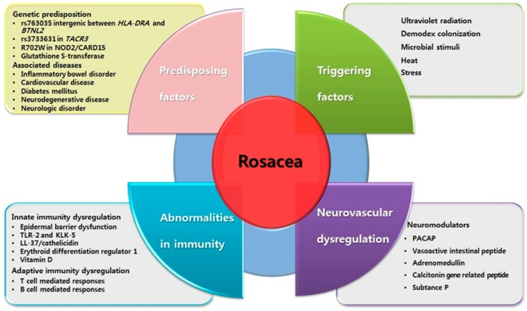 Is red light therapy effective for rosacea? | A Review of the Evidence