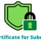 How to Choose the Right Wildcard SSL Certificate?