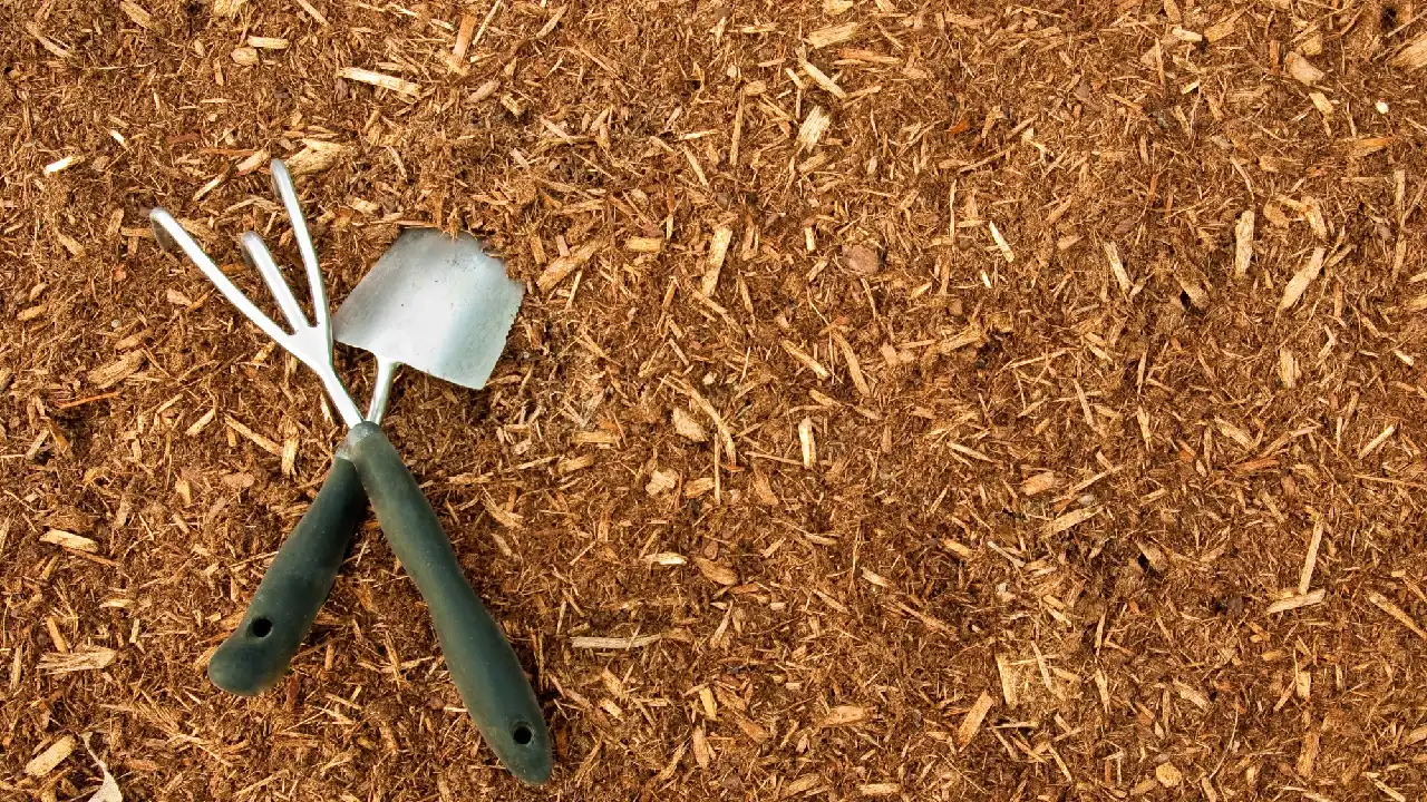4 Uses for Mulch in Landscaping for Homes and Businesses